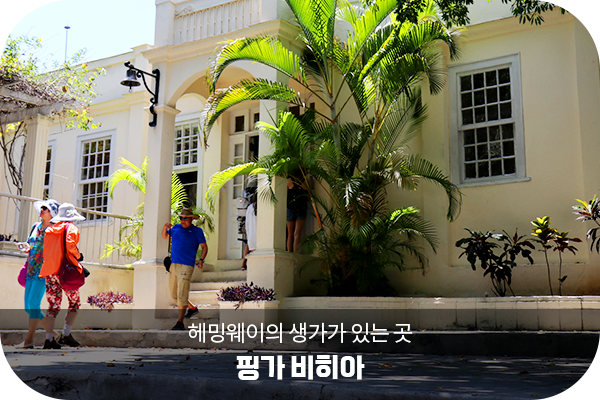 핑가 비히아